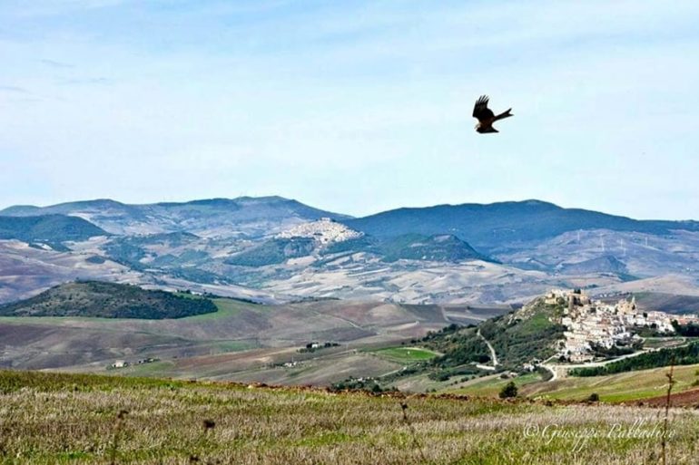 Mancati controlli sugli impianti a biomasse